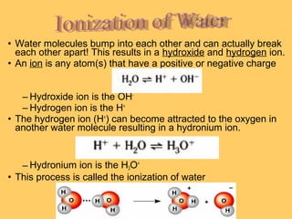 • Water molecules bump into each other and can actually break
each other apart! This results in a hydroxide and hydrogen ion.
• An ion is any atom(s) that have a positive or negative charge
– Hydroxide ion is the OH– Hydrogen ion is the H+
• The hydrogen ion (H+) can become attracted to the oxygen in
another water molecule resulting in a hydronium ion.

– Hydronium ion is the H3O+
• This process is called the ionization of water

 