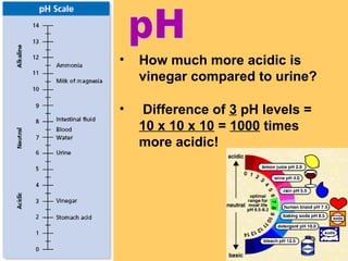 •

How much more acidic is
vinegar compared to urine?

•

Difference of 3 pH levels =
10 x 10 x 10 = 1000 times
more acidic!

 