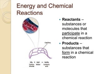 Energy and Chemical
Reactions
               Reactants –
                substances or
                molecules that
                participate in a
                chemical reaction
               Products –
                substances that
                form in a chemical
                reaction
 