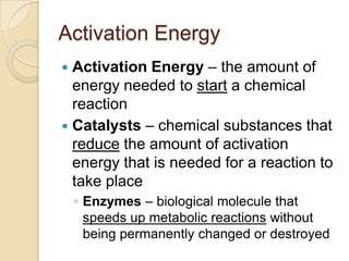 Activation Energy
 Activation Energy – the amount of
  energy needed to start a chemical
  reaction
 Catalysts – chemical substances that
  reduce the amount of activation
  energy that is needed for a reaction to
  take place
    ◦ Enzymes – biological molecule that
      speeds up metabolic reactions without
      being permanently changed or destroyed
 