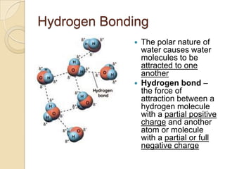 Hydrogen Bonding
                The polar nature of
                 water causes water
                 molecules to be
                 attracted to one
                 another
                Hydrogen bond –
                 the force of
                 attraction between a
                 hydrogen molecule
                 with a partial positive
                 charge and another
                 atom or molecule
                 with a partial or full
                 negative charge
 