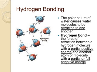 Hydrogen Bonding
                The polar nature of
                 water causes water
                 molecules to be...