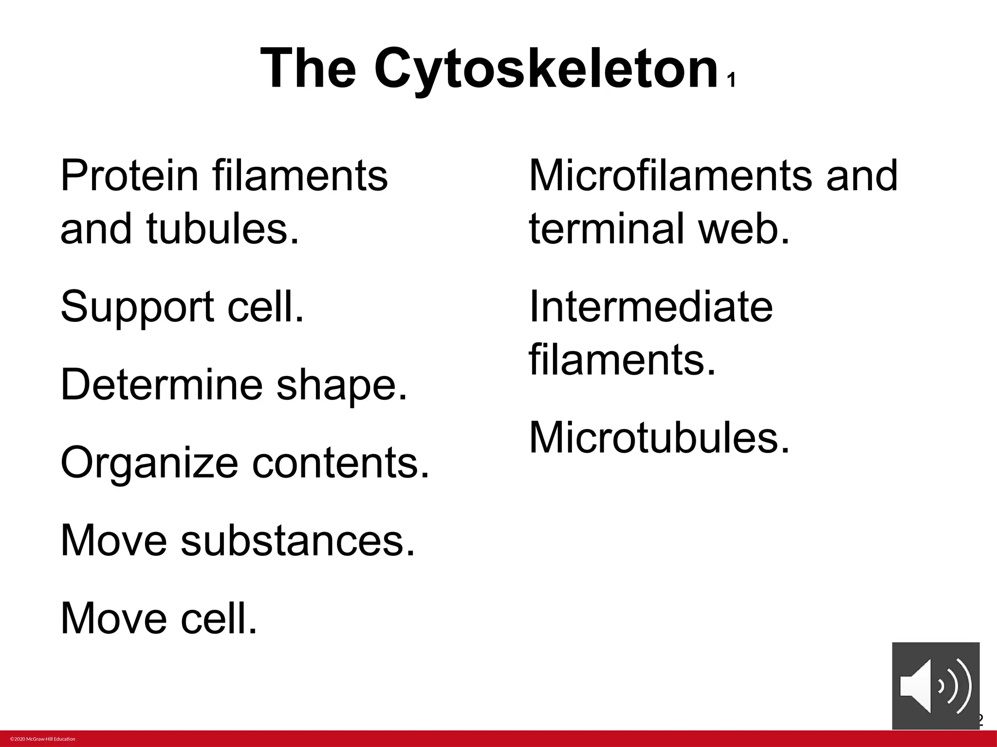 ANATOMY Chapter+2+PPT+with+voiceoers.pptx | Free Download