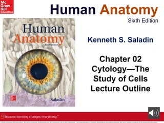 ANATOMY Chapter+2+PPT+with+voiceoers.pptx