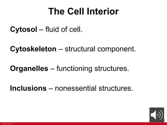 ANATOMY Chapter+2+PPT+with+voiceoers.pptx | Free Download