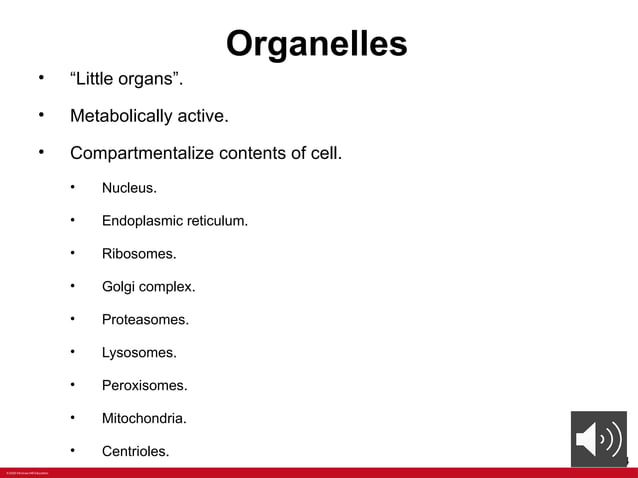 ANATOMY Chapter+2+PPT+with+voiceoers.pptx | Free Download