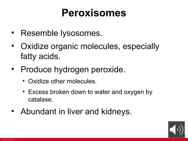 ANATOMY Chapter+2+PPT+with+voiceoers.pptx | Free Download