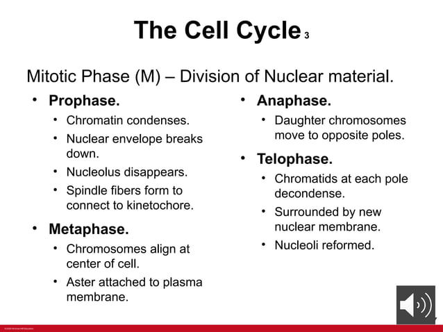 ANATOMY Chapter+2+PPT+with+voiceoers.pptx