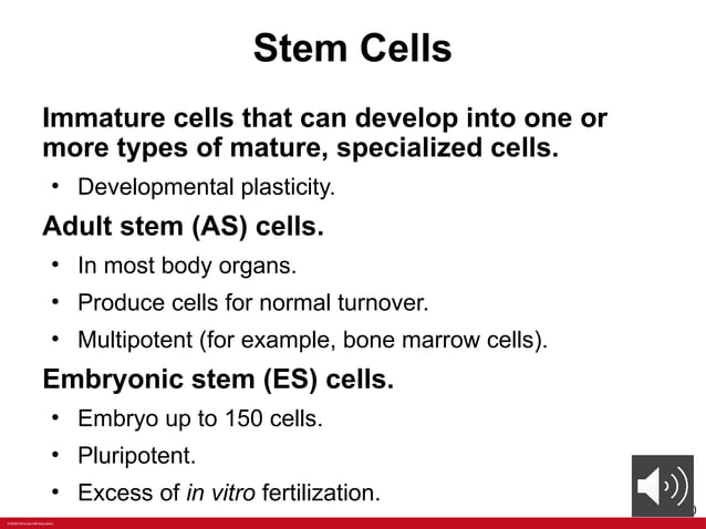 ANATOMY Chapter+2+PPT+with+voiceoers.pptx - What Can I Watch It Chapter 2 On For Free
