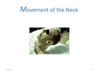 Movement of the Neck
4/22/2021 56
 