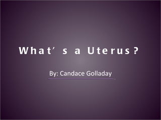 What’s a Uterus? By: Candace Golladay 