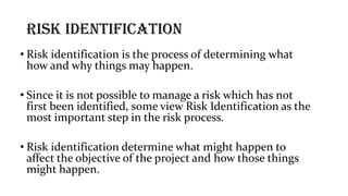 Comprehensive Guide to Risk Identification and Management in Projects | PDF