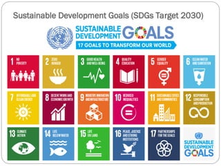 Sustainable Development Goals (SDGs Target 2030)
 