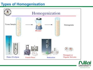 Chapter 2 Production of Biopharmaceuticals.pptx