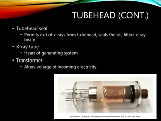 TUBEHEAD (CONT.)
• Tubehead seal
• Permits exit of x-rays from tubehead, seals the oil, filters x-ray
beam
• X-ray tube
• Heart of generating system
• Transformer
• Alters voltage of incoming electricity
13
 