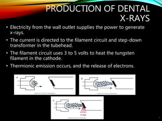PRODUCTION OF DENTAL
X-RAYS
• Electricity from the wall outlet supplies the power to generate
x-rays.
• The current is directed to the filament circuit and step-down
transformer in the tubehead.
• The filament circuit uses 3 to 5 volts to heat the tungsten
filament in the cathode.
• Thermionic emission occurs, and the release of electrons.
28
 
