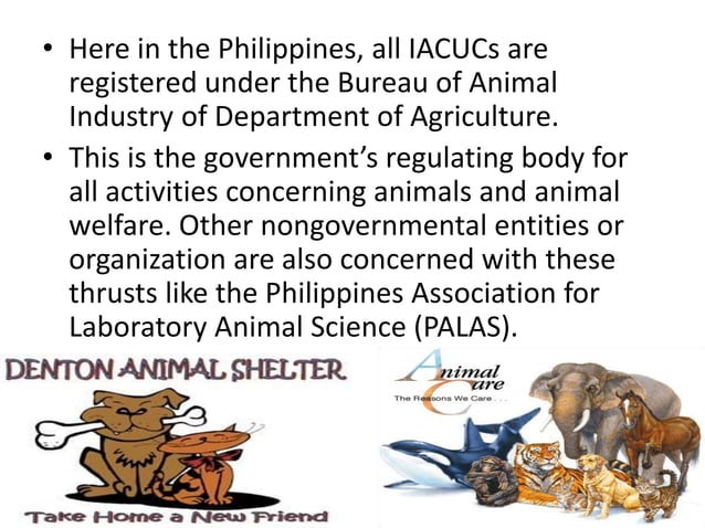 Chapter 2 Ethical Principles Of Research