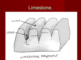 Limestone.Limestone.
 