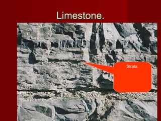 Limestone.Limestone.
Strata.
 