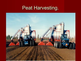 Peat Harvesting.Peat Harvesting.
 