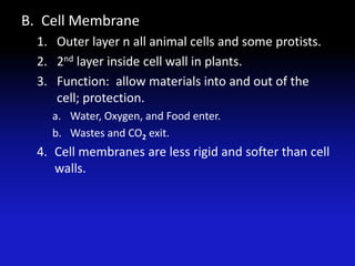 B. Cell Membrane
  1. Outer layer n all animal cells and some protists.
  2. 2nd layer inside cell wall in plants.
  3. Function: allow materials into and out of the
     cell; protection.
    a. Water, Oxygen, and Food enter.
    b. Wastes and CO2 exit.
  4. Cell membranes are less rigid and softer than cell
     walls.
 