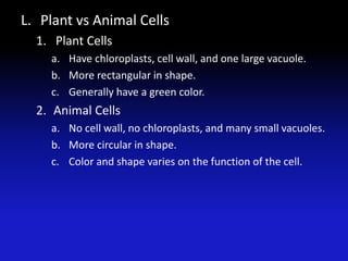 L. Plant vs Animal Cells
  1. Plant Cells
    a. Have chloroplasts, cell wall, and one large vacuole.
    b. More rectangular in shape.
    c. Generally have a green color.
  2. Animal Cells
    a. No cell wall, no chloroplasts, and many small vacuoles.
    b. More circular in shape.
    c. Color and shape varies on the function of the cell.
 
