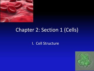 Chapter 2: Section 1 (Cells)

       I. Cell Structure
 
