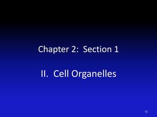 Chapter 2: Section 1
II. Cell Organelles
12
 