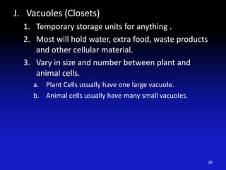 J. Vacuoles (Closets)
1. Temporary storage units for anything .
2. Most will hold water, extra food, waste products
and other cellular material.
3. Vary in size and number between plant and
animal cells.
a. Plant Cells usually have one large vacuole.
b. Animal cells usually have many small vacuoles.
28
 