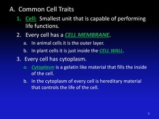 A. Common Cell Traits
1. Cell: Smallest unit that is capable of performing
life functions.
2. Every cell has a CELL MEMBRANE.
a. In animal cells it is the outer layer.
b. In plant cells it is just inside the CELL WALL.
3. Every cell has cytoplasm.
a. Cytoplasm is a gelatin like material that fills the inside
of the cell.
b. In the cytoplasm of every cell is hereditary material
that controls the life of the cell.
3
 
