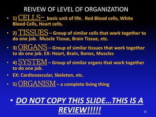REIVEW OF LEVEL OF ORGANIZATION
• 1) CELLS- basic unit of life. Red Blood cells, White
Blood Cells, Heart cells.
• 2) TISSUES– Group of similar cells that work together to
do one job. Muscle Tissue, Brain Tissue, etc.
• 3) ORGANS– Group of similar tissues that work together
to do one job. EX: Heart, Brain, Bones, Muscles
• 4) SYSTEM– Group of similar organs that work together
to do one job.
• EX: Cardiovascular, Skeleton, etc.
• 5) ORGANISM– a complete living thing
• DO NOT COPY THIS SLIDE…THIS IS A
REVIEW!!!!! 32
 