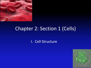 Chapter 2: Section 1 (Cells)
I. Cell Structure
1
 