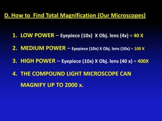 D. How to Find Total Magnification (Our Microscopes)


  1. LOW POWER – Eyepiece (10x) X Obj. lens (4x) = 40 X

  2. MEDIUM POWER – Eyepiece (10x) X Obj. lens (10x) = 100 X

  3. HIGH POWER – Eyepiece (10x) X Obj. lens (40 x) = 400X

  4. THE COMPOUND LIGHT MICROSCOPE CAN
     MAGNIFY UP TO 2000 x.
 