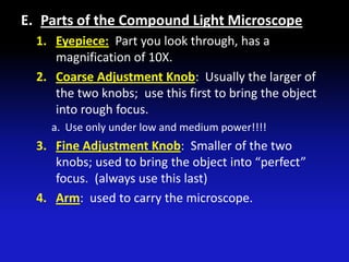 E. Parts of the Compound Light Microscope
  1. Eyepiece: Part you look through, has a
     magnification of 10X.
  2. Coarse Adjustment Knob: Usually the larger of
     the two knobs; use this first to bring the object
     into rough focus.
    a. Use only under low and medium power!!!!
  3. Fine Adjustment Knob: Smaller of the two
     knobs; used to bring the object into “perfect”
     focus. (always use this last)
  4. Arm: used to carry the microscope.
 