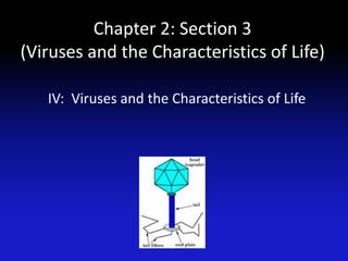 Chapter 2: Section 3
(Viruses and the Characteristics of Life)

   IV: Viruses and the Characteristics of Life
 