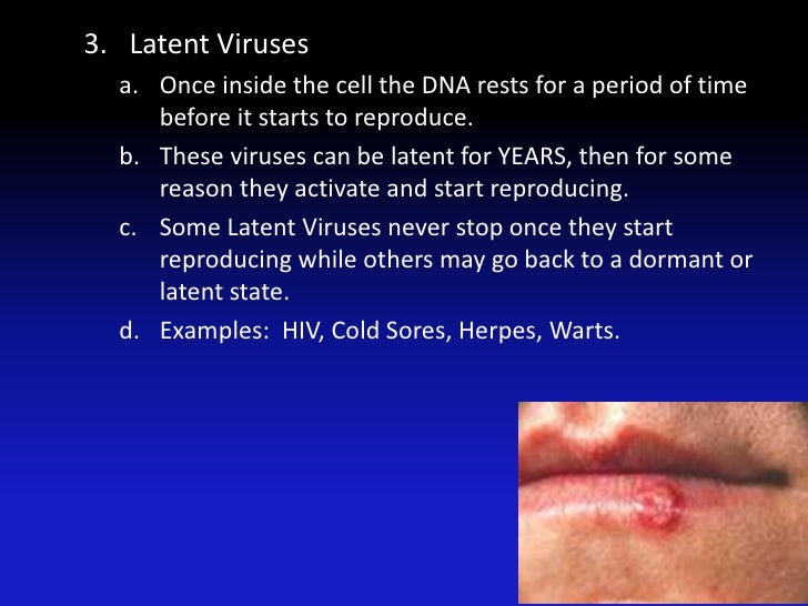 Chapter 2 section 3 (viruses) 2011