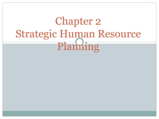 Chapter 2 Strategic Human Resource Planning 