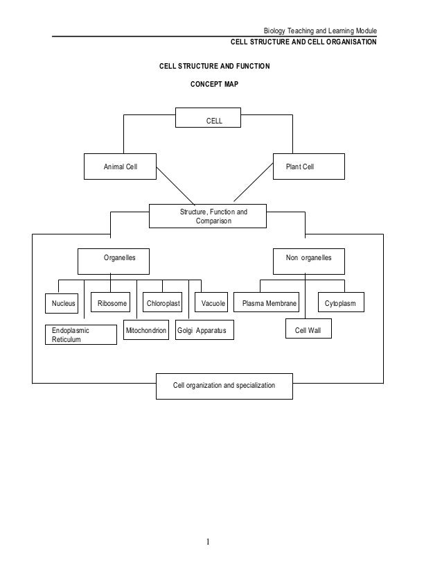 chapter 7 cell structure and function