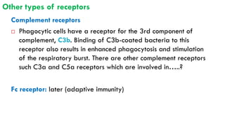 Chapter 2 The innate immune response.pdf