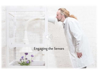 Engaging the Senses
 