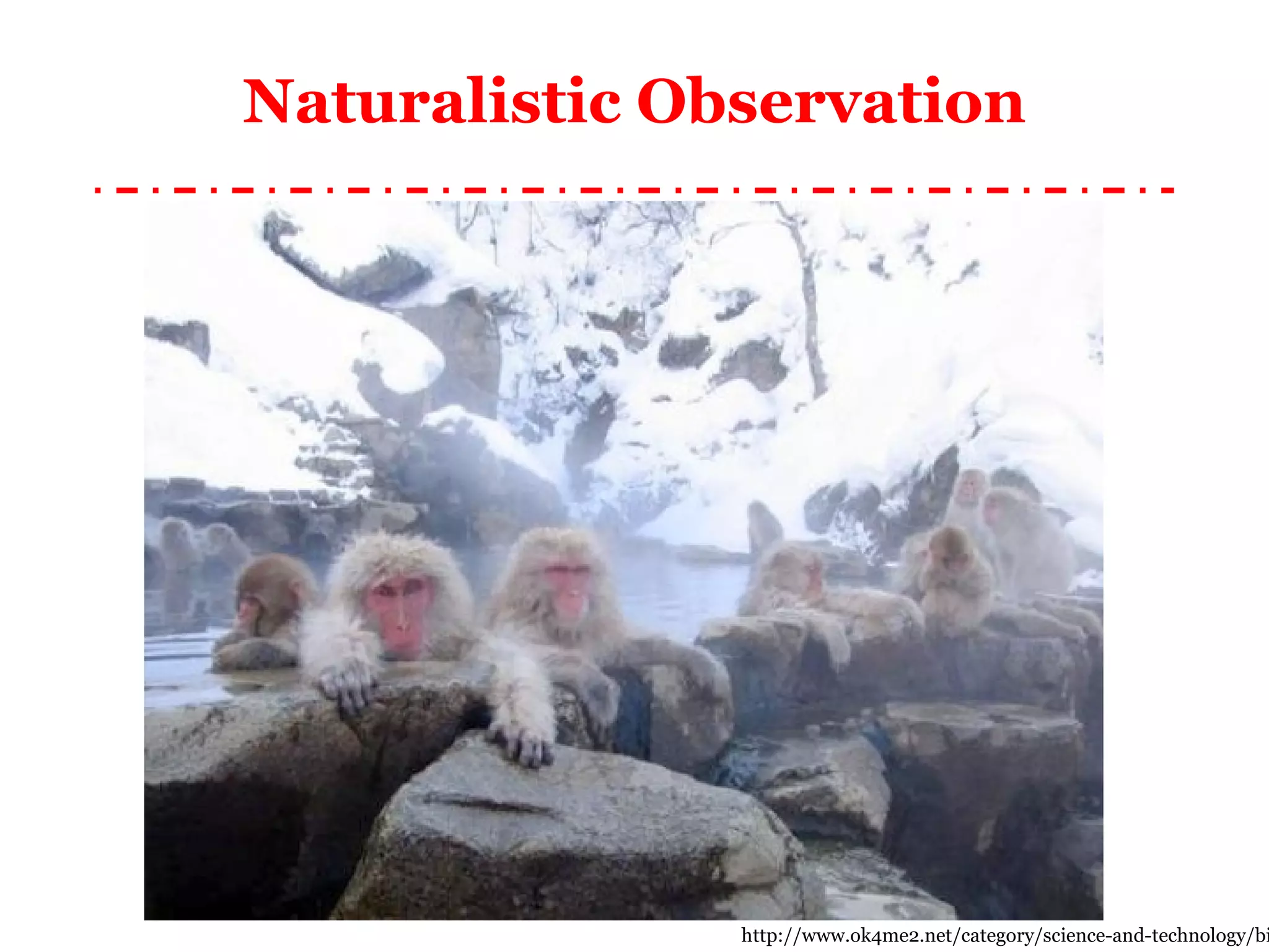 Naturalistic Observation http://www.ok4me2.net/category/science-and-technology/biology/page/5/ 