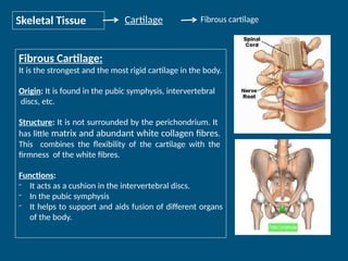 CHAPTER 2 Tissue Tissue Tissue Tissue Tiss | PPTX