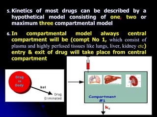 5. Kinetics of most drugs can be described by a
hypothetical model consisting of one, two or
maximum three compartmental model
6. In compartmental model always central
compartment will be (compt No 1, which consist of
plasma and highly perfused tissues like lungs, liver, kidney etc)
entry & exit of drug will take place from central
compartment
 