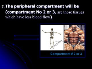 7. The peripheral compartment will be
(compartment No 2 or 3, are those tissues
which have less blood flow)
Compartment # 2 or 3
 