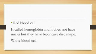 •Red blood cell
It called hemoglobin and it does not have
nuclei but they have biconcave disc shape.
White blood cell
 