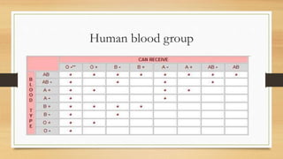Human blood group
 