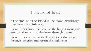 Function of heart
• The circulation of blood in the blood circulatory
system of the follows ;
Blood flows from the heart to the lungs through an
artery and returns to the heart through a vein
Blood flows out from the heart to all other organs
through arteries and return through veins
 