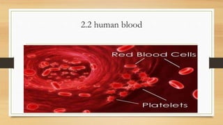 2.2 human blood
 