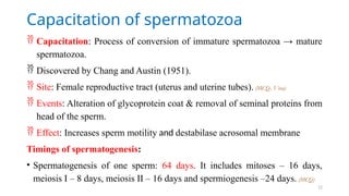 Capacitation Process ANATOMY EMBRYOLOGY CHAPTER 2 POWER POINT PRESENTATION | PPTX