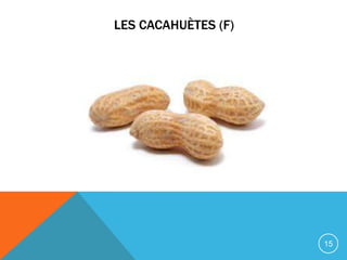LES CACAHUÈTES (F)




                     15
 
